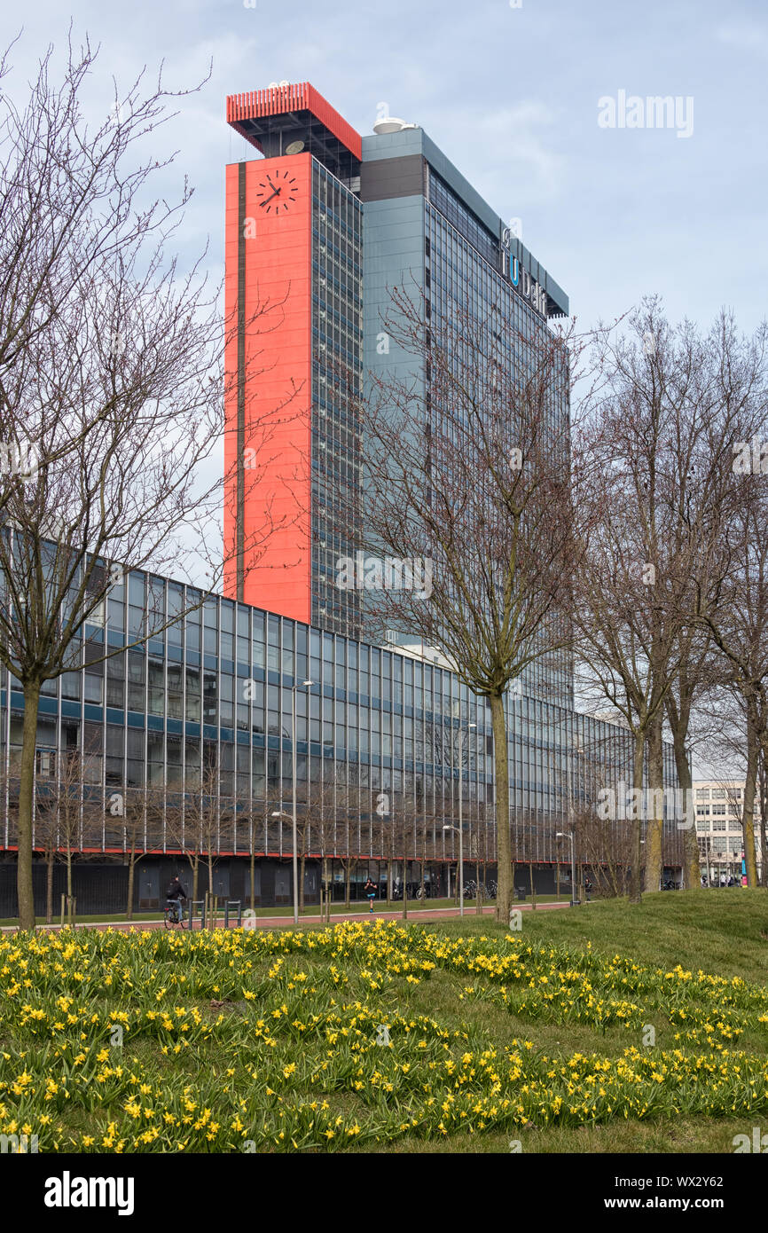 Campus Università Tecnica di Delft con edifici e campo di narciso Foto Stock