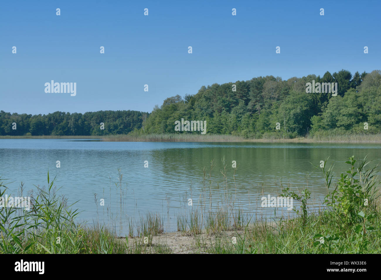 Il lago di Grosser Weisser vedere vicino a Wesenberg,lago Meclemburgo,Germania Foto Stock
