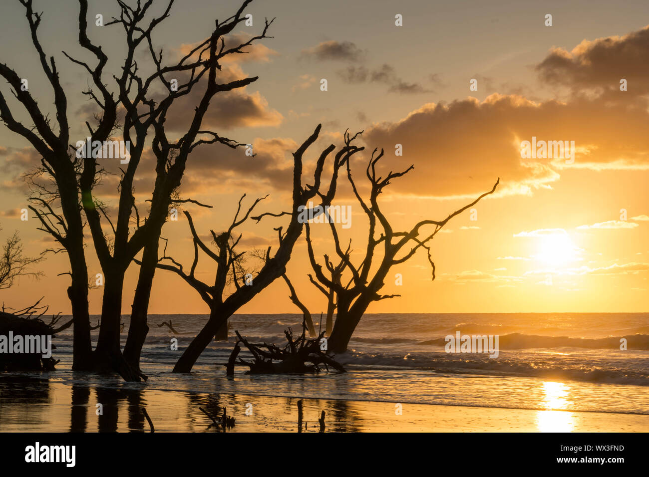 Sunrise su una calma e spiaggia vuota con driftwood e riflessioni Foto Stock