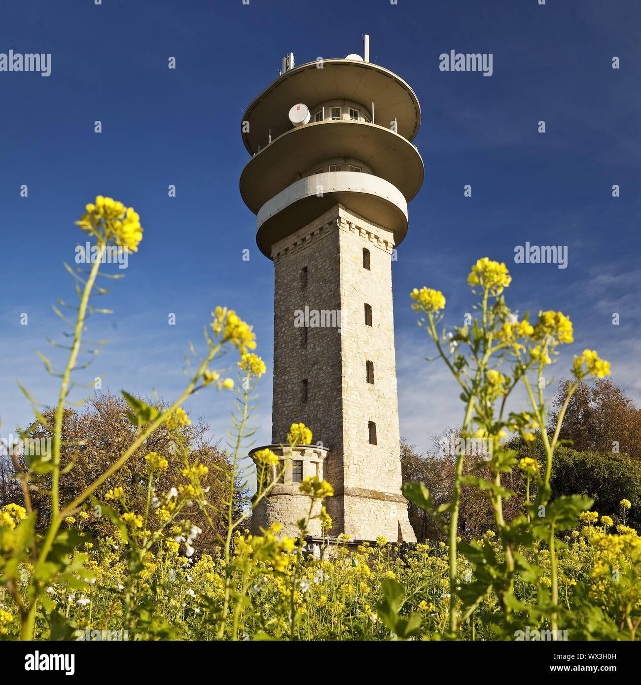 Longino torre sulla Westerberg, Nottuln, Münsterland, Renania settentrionale-Vestfalia, Germania, Europa Foto Stock
