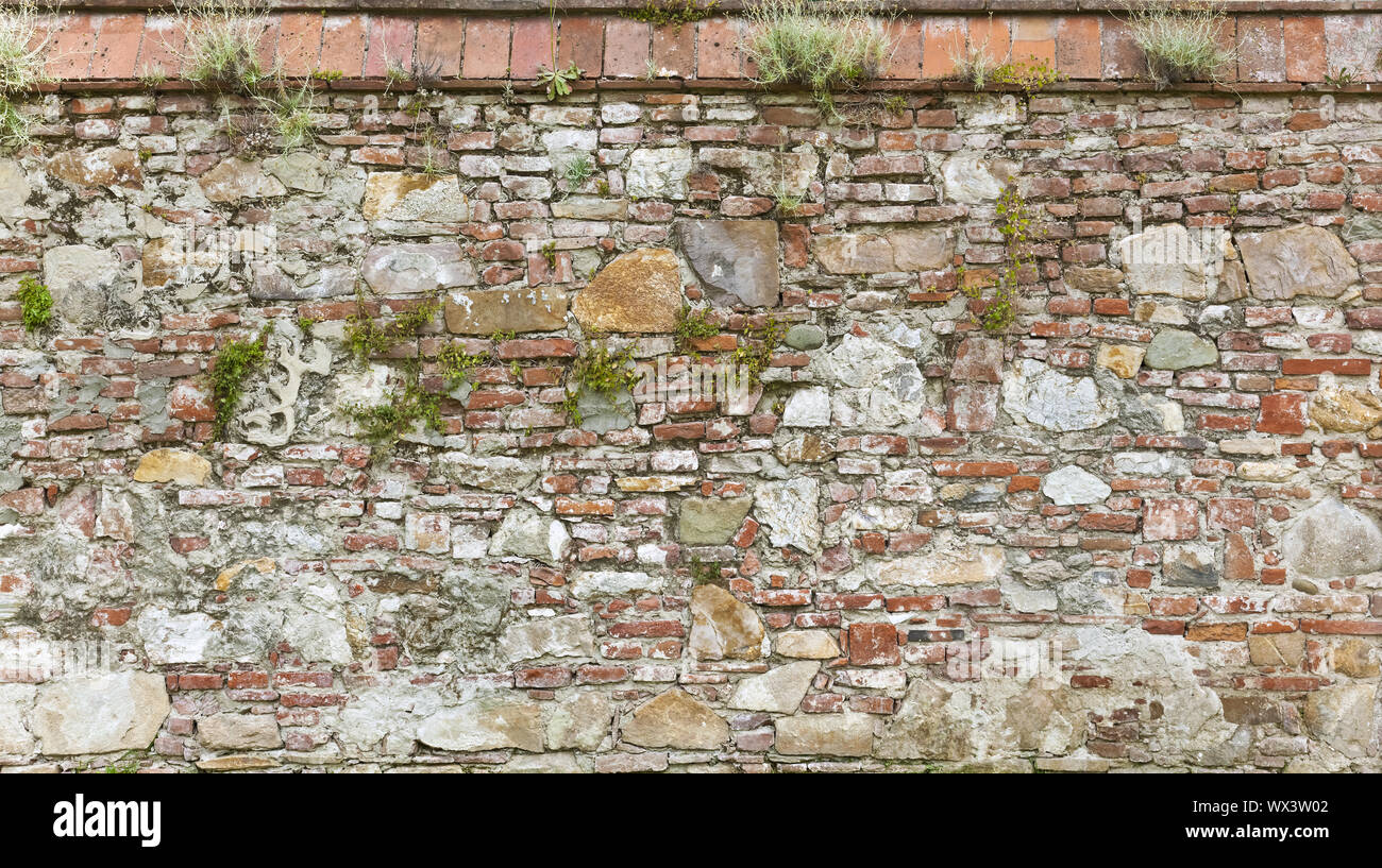 Scadenza rustico muro di mattoni in formato poster Foto Stock