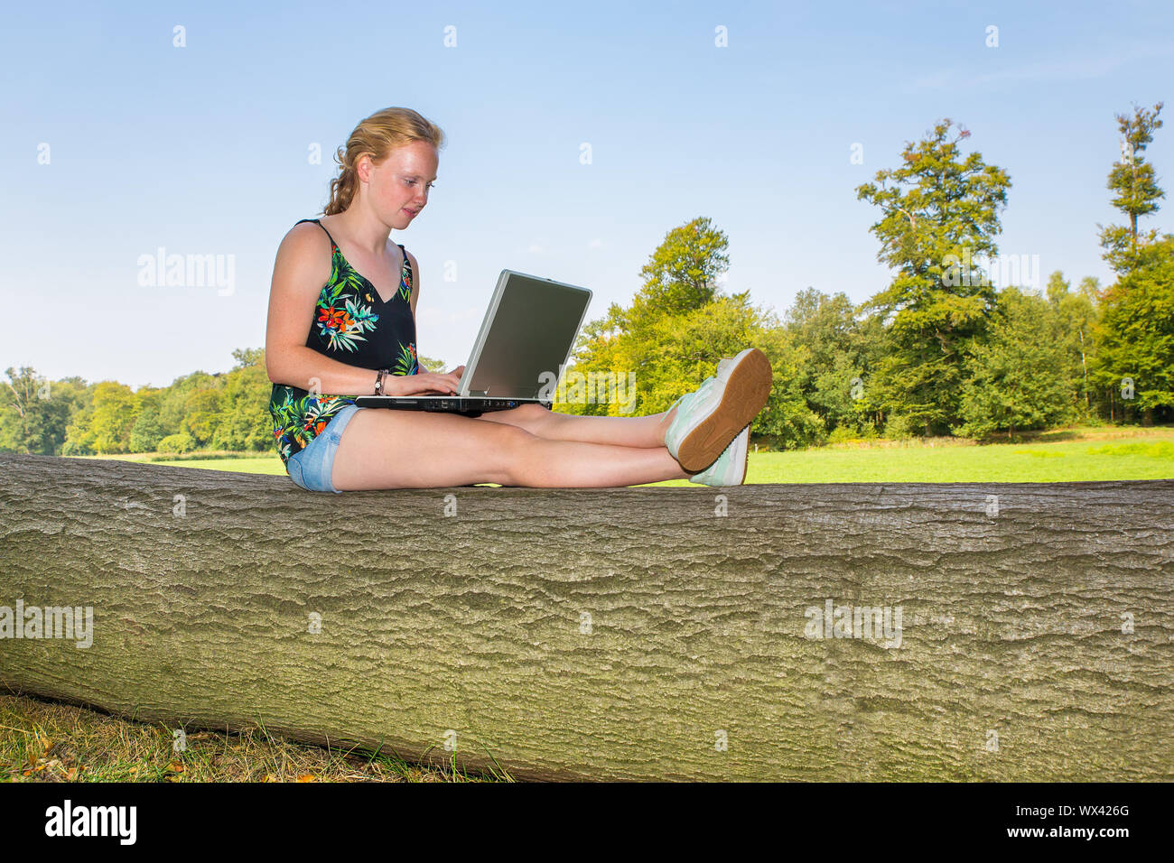 Donna sul tronco di albero funziona su computer portatile Foto Stock