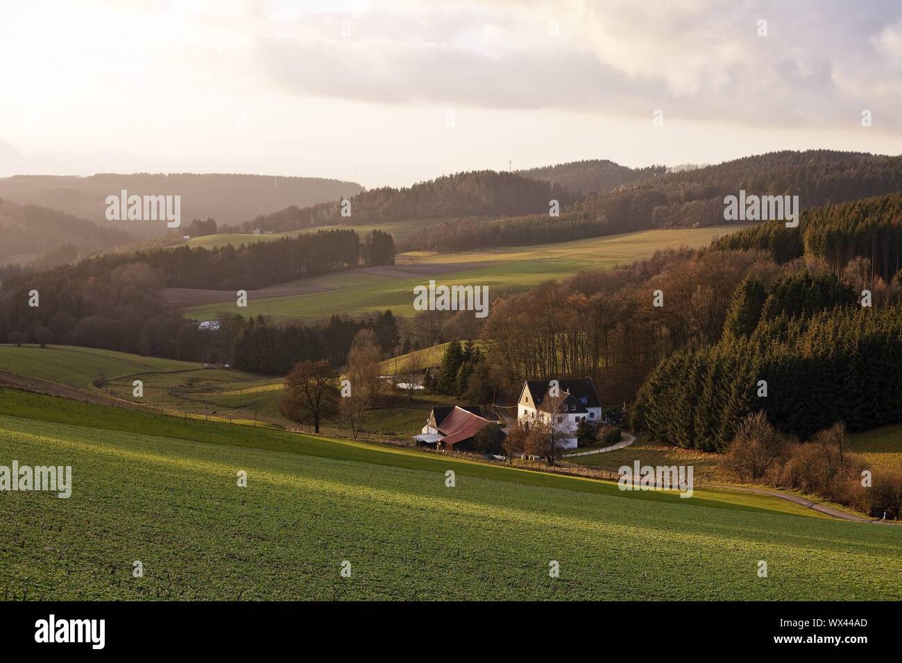 Paesaggio collinare in autunno, Luedenscheid, Sauerland, Renania settentrionale-Vestfalia, Germania, Europa Foto Stock