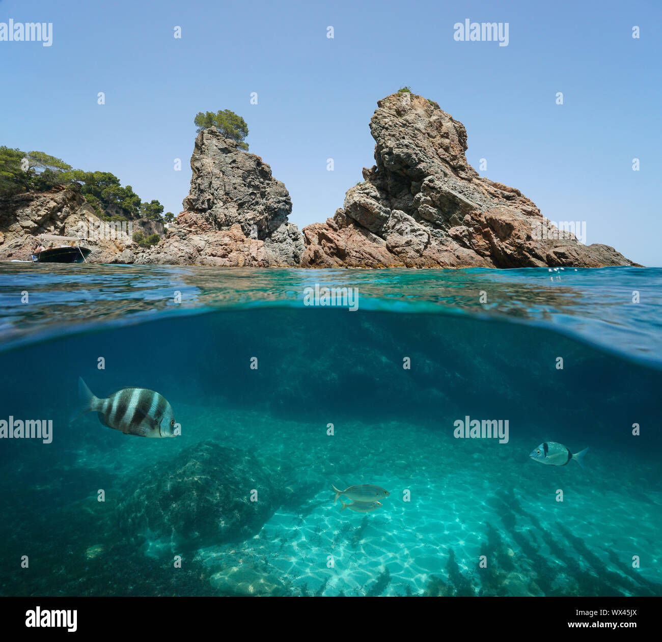 Isolette rocciose con alcuni pesci subacquea, mare Mediterraneo, in Spagna, in Costa Brava Catalogna, Calella de Palafrugell, vista suddivisa a metà al di sopra e al di sotto di acqua Foto Stock