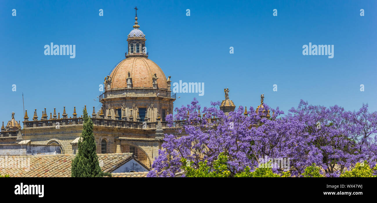 Panorama della storica cattedrale di Jerez de la Frontera, Spagna Foto Stock