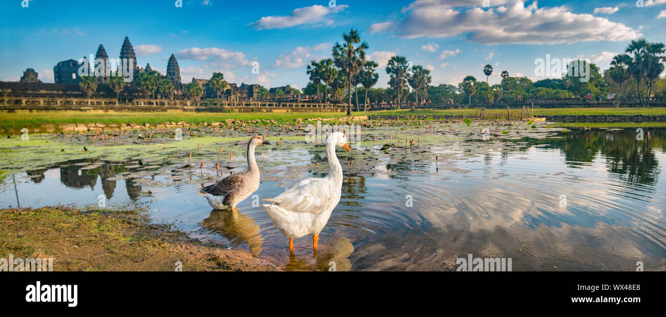 Angkor Wat al tramonto. Siem Reap. Cambogia. Panorama Foto Stock
