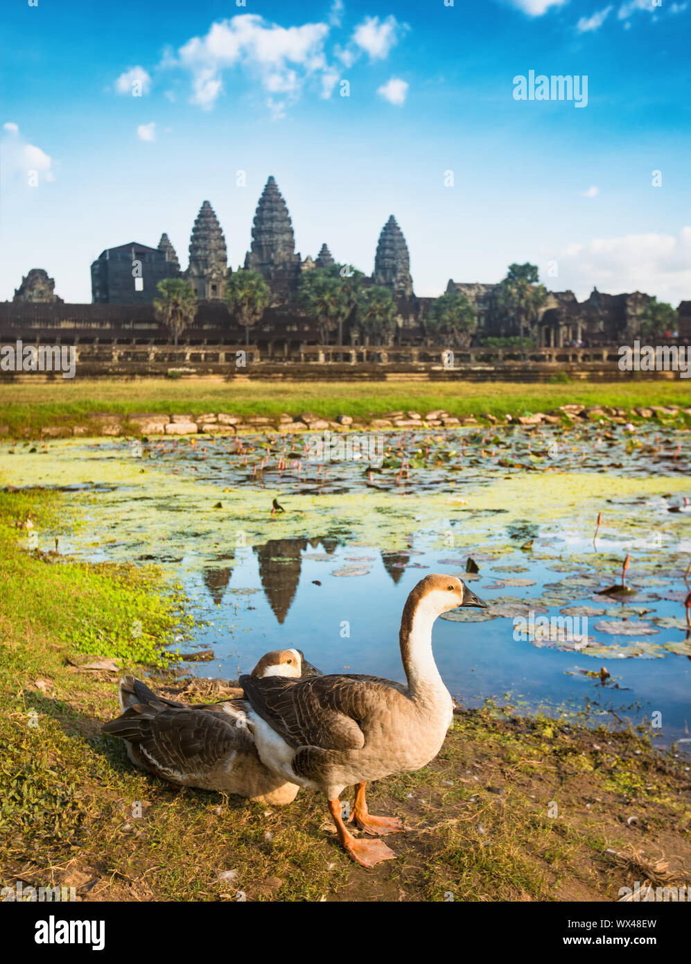 Angkor Wat al tramonto. Siem Reap. Cambogia Foto Stock