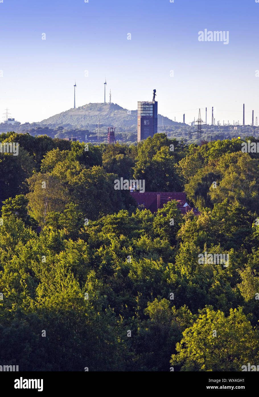 Vista sul verde zona della Ruhr a Nordsternpark con l'heap Scholven, Gelsenkirchen, Germania, Europa Foto Stock
