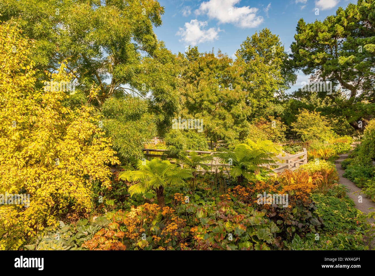 Il Robinson SUNKEN GARDEN a RHS HYDE Hall Chelmsford Essex, Inghilterra, Regno Unito. Foto Stock