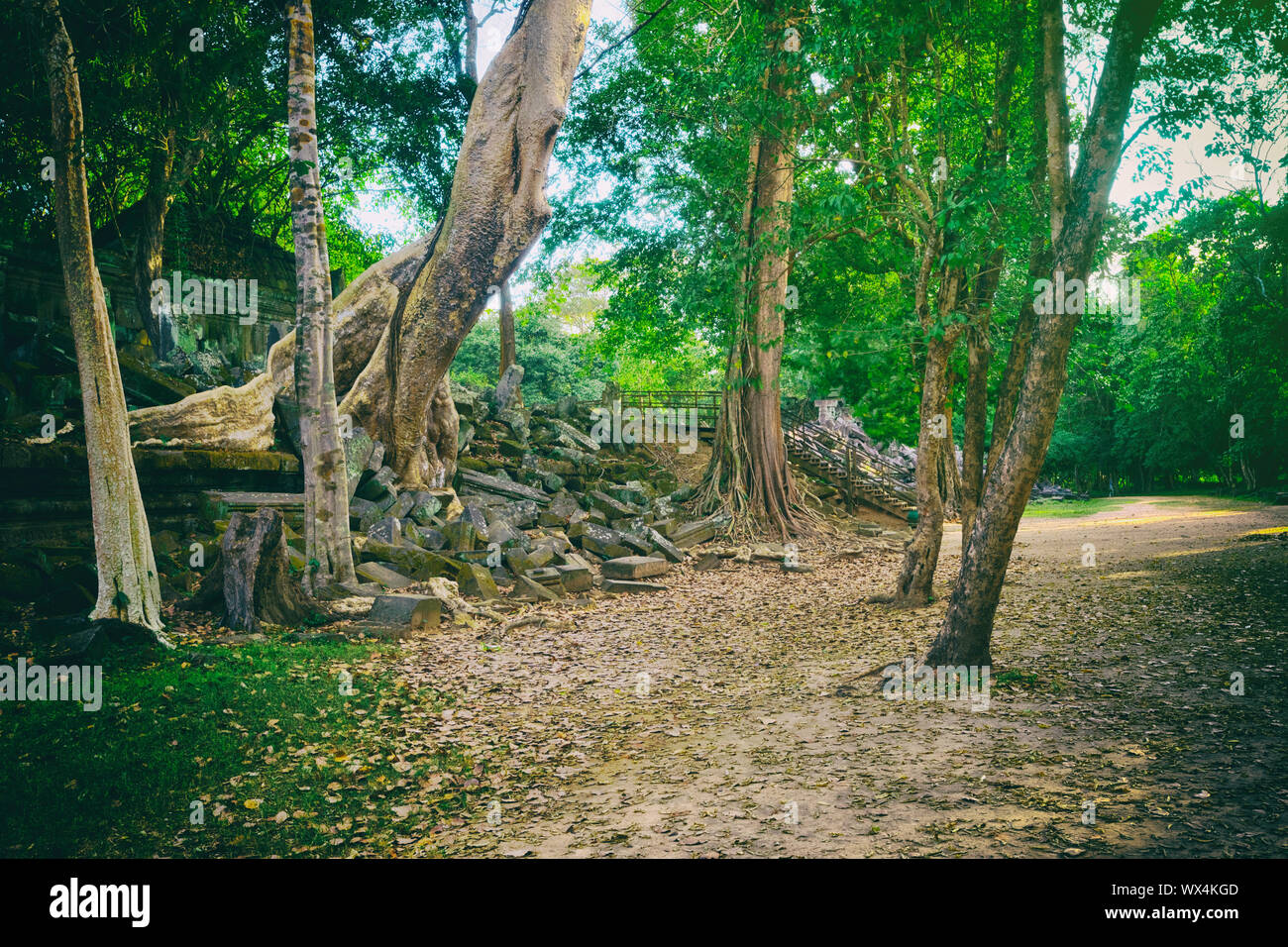 Beng Mealea o Bung Mealea tempio. Siem Reap. Cambogia Foto Stock