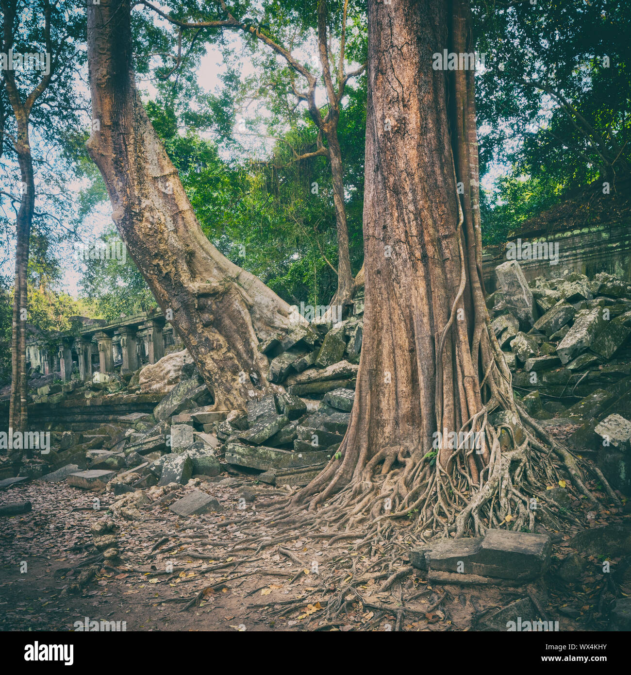 Beng Mealea o Bung Mealea tempio. Siem Reap. Cambogia Foto Stock