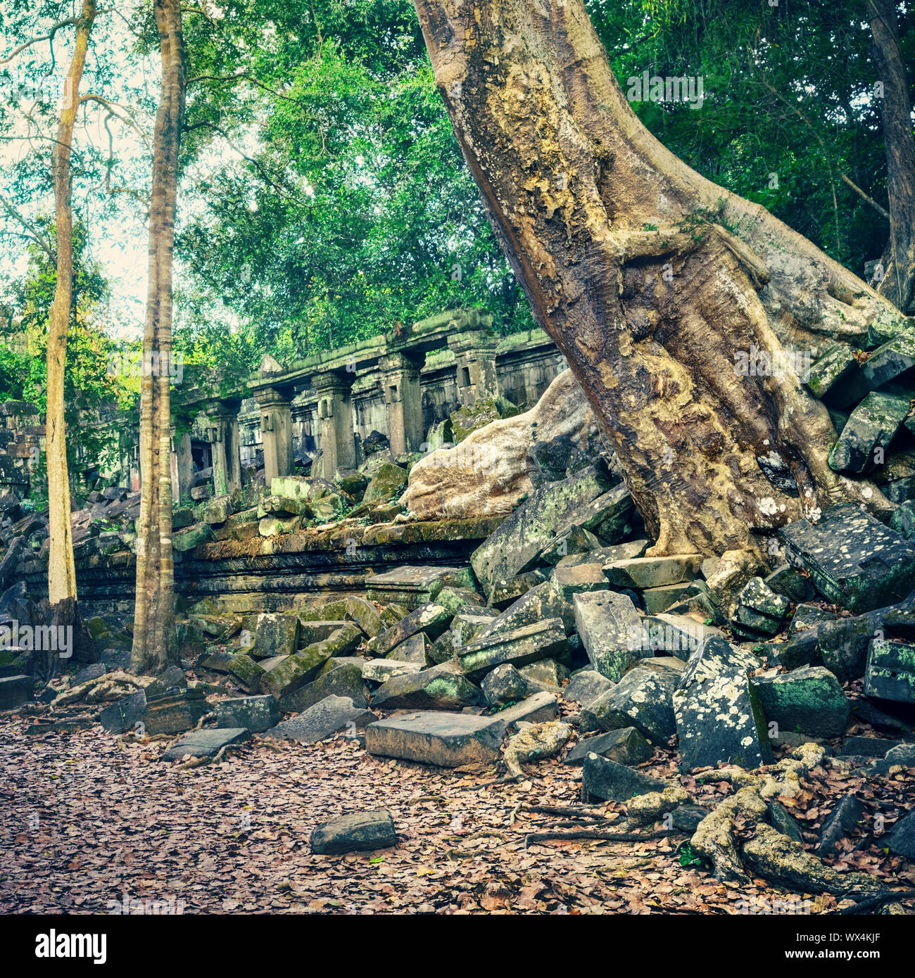 Beng Mealea o Bung Mealea tempio. Siem Reap. Cambogia Foto Stock