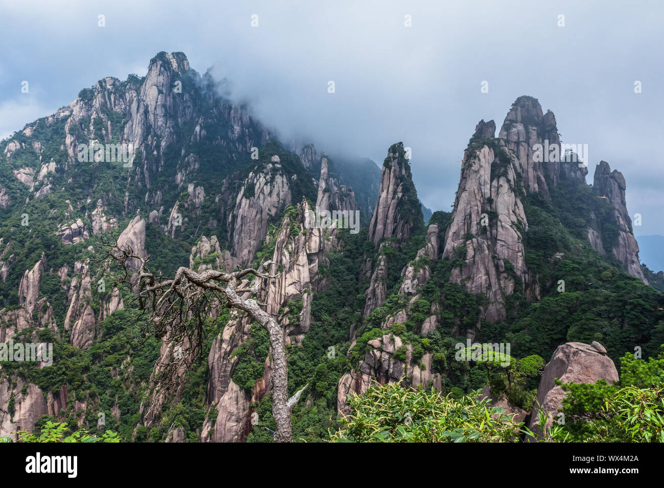 Zhangjiajie National Forest park di Wulingyuan Hunan Cina Foto Stock
