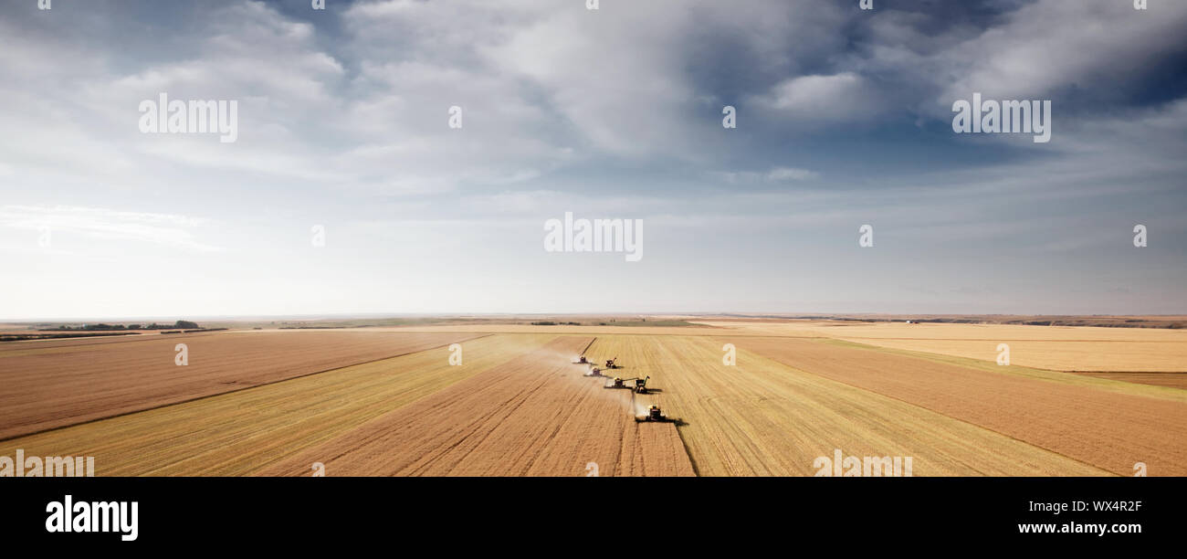 Paesaggio panoramico con quattro combina in un campo sulla prateria aperta Foto Stock
