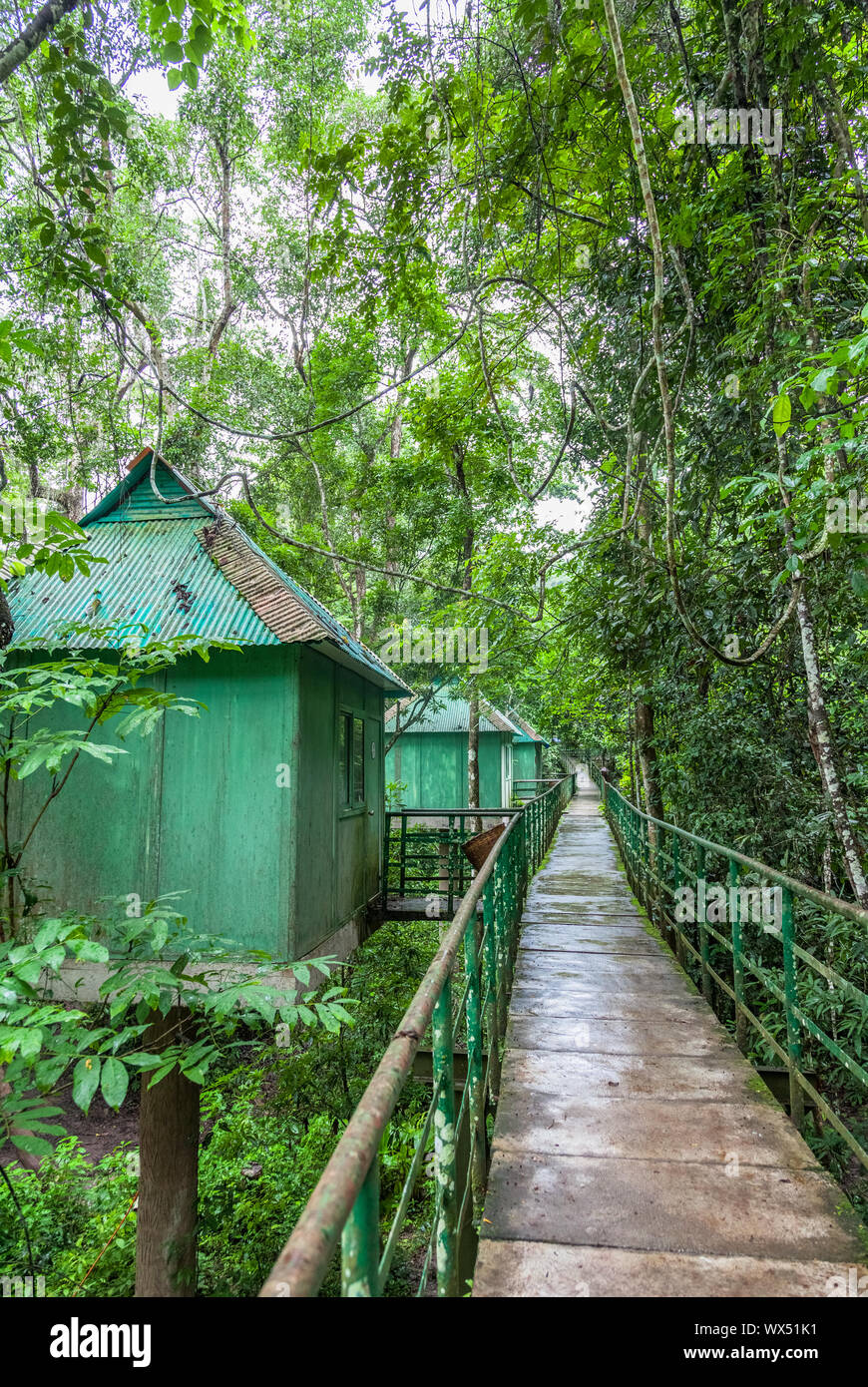 La passerella a remoto tree house Foto Stock