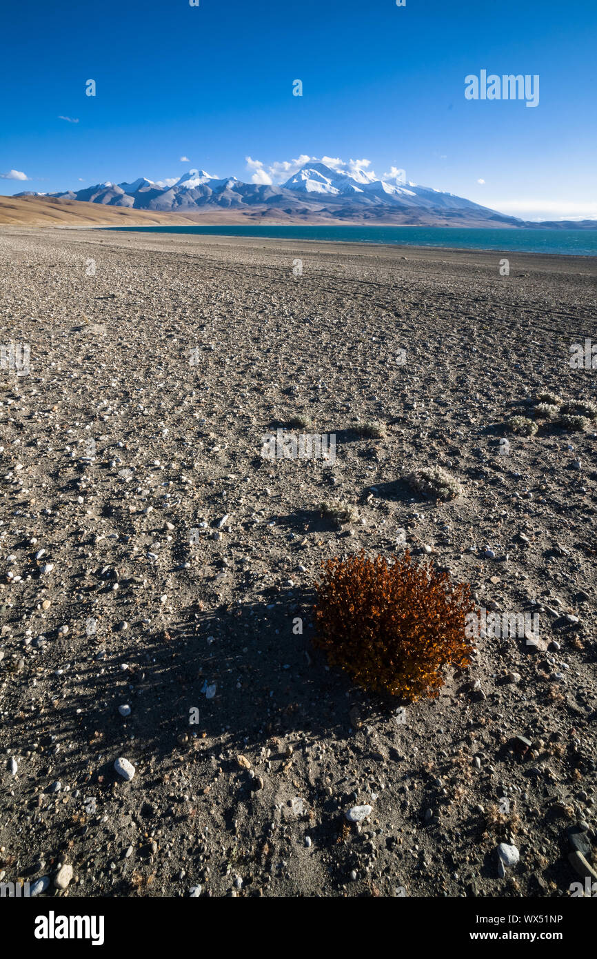 paesaggio Foto Stock