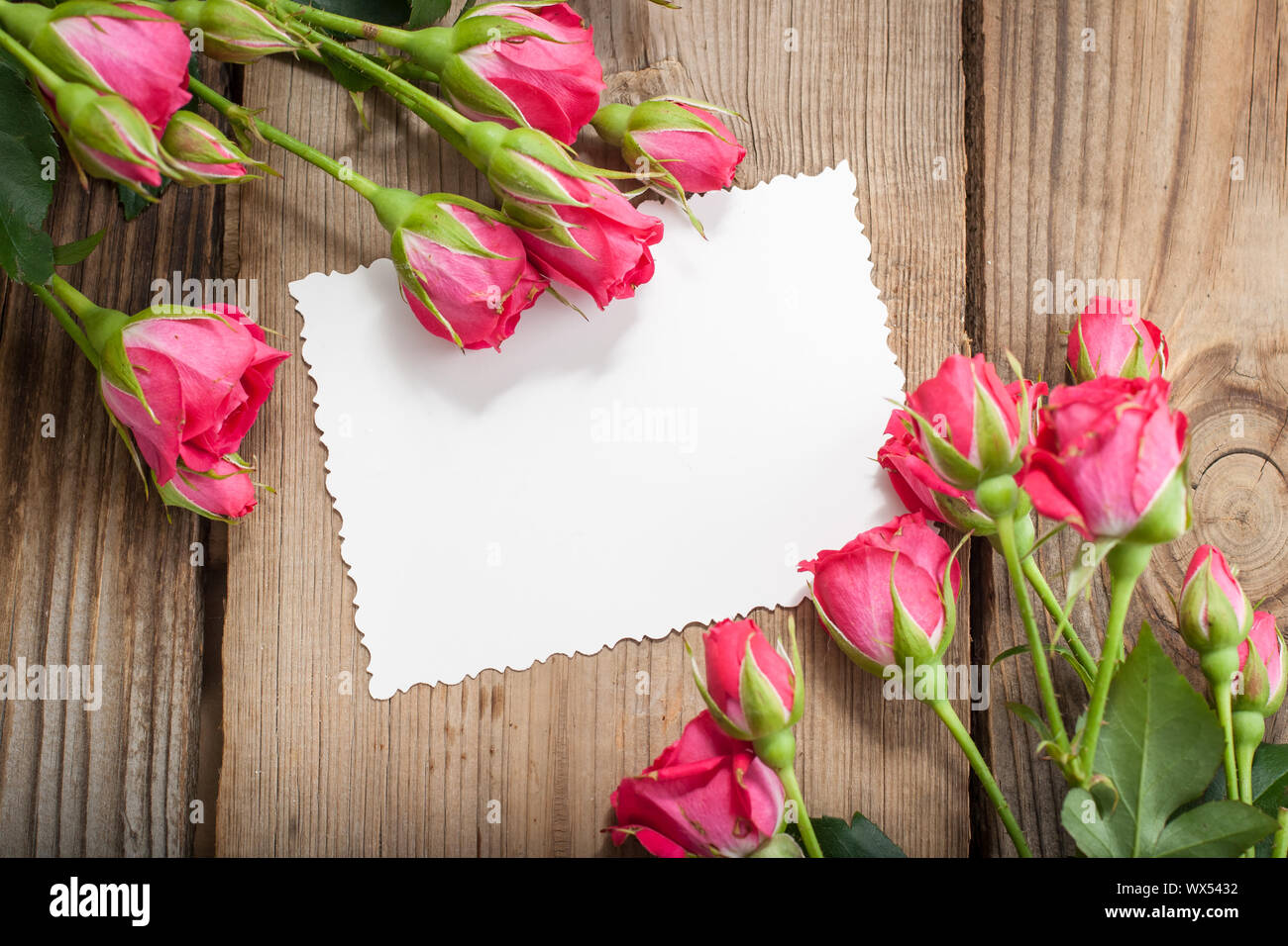 Le rose rosa e carta bianca con un posto per un testo su una tavola di legno Foto Stock