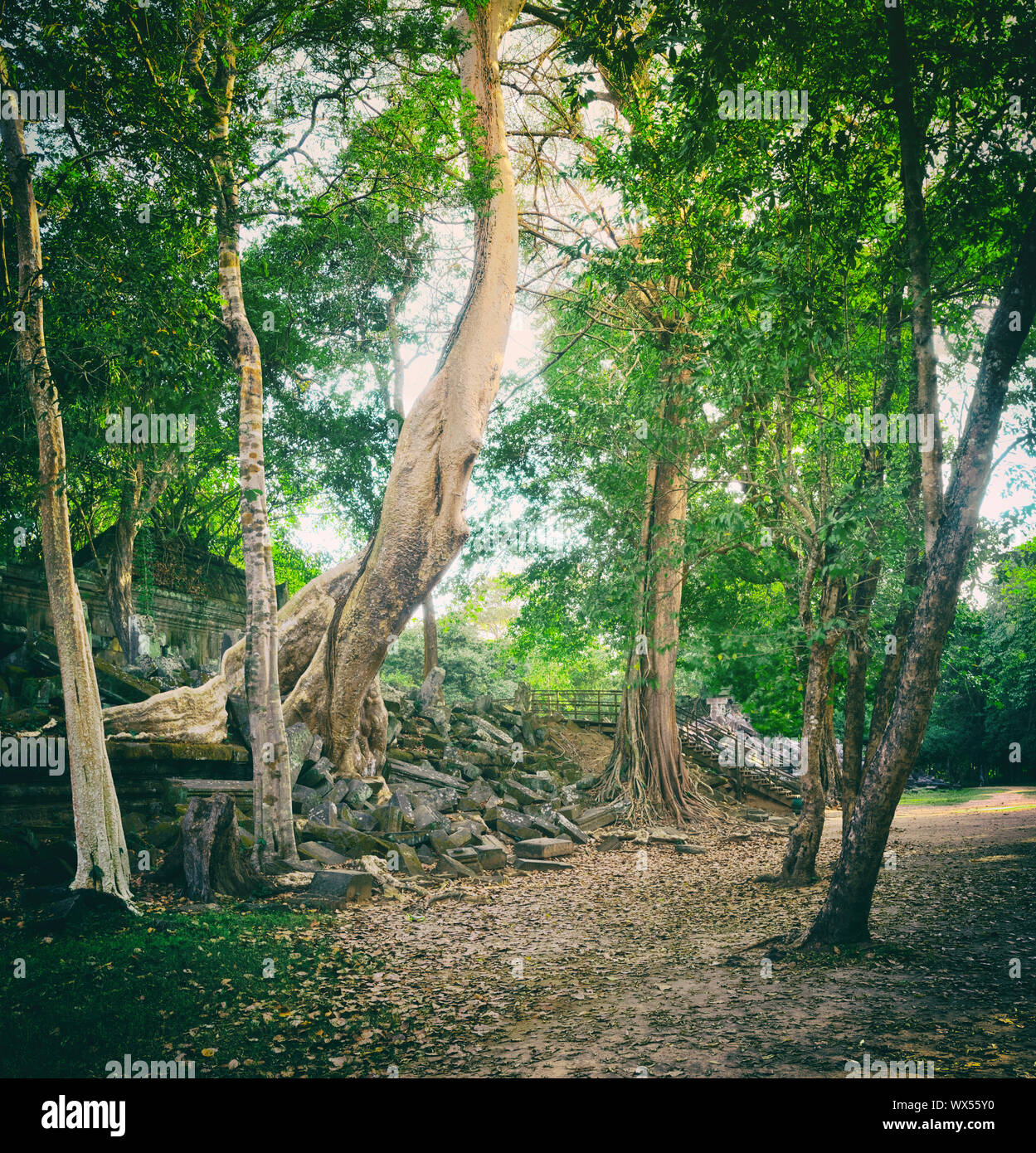 Beng Mealea o Bung Mealea tempio. Siem Reap. Cambogia Foto Stock