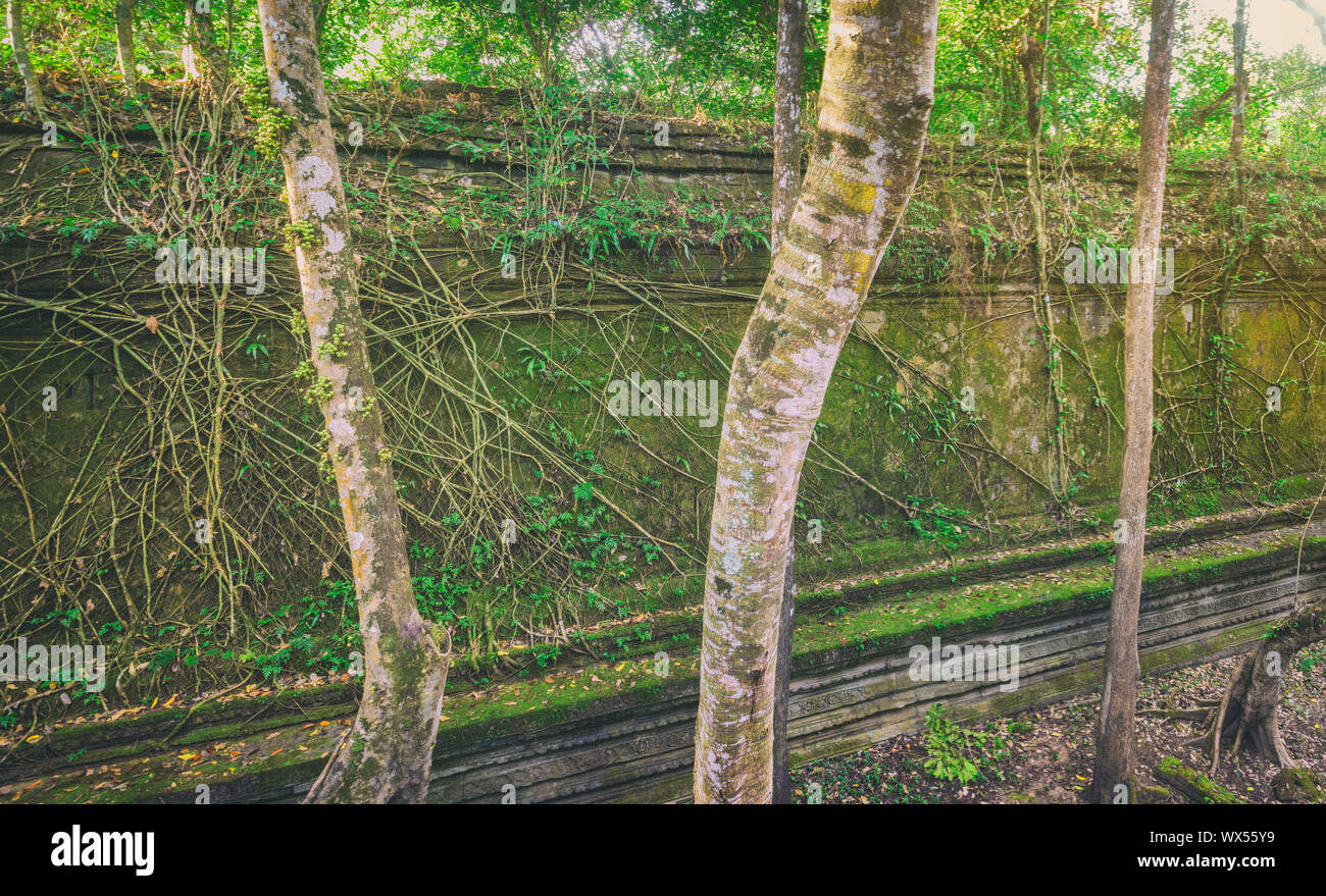 Beng Mealea o Bung Mealea tempio. Siem Reap. Cambogia. Panorama Foto Stock