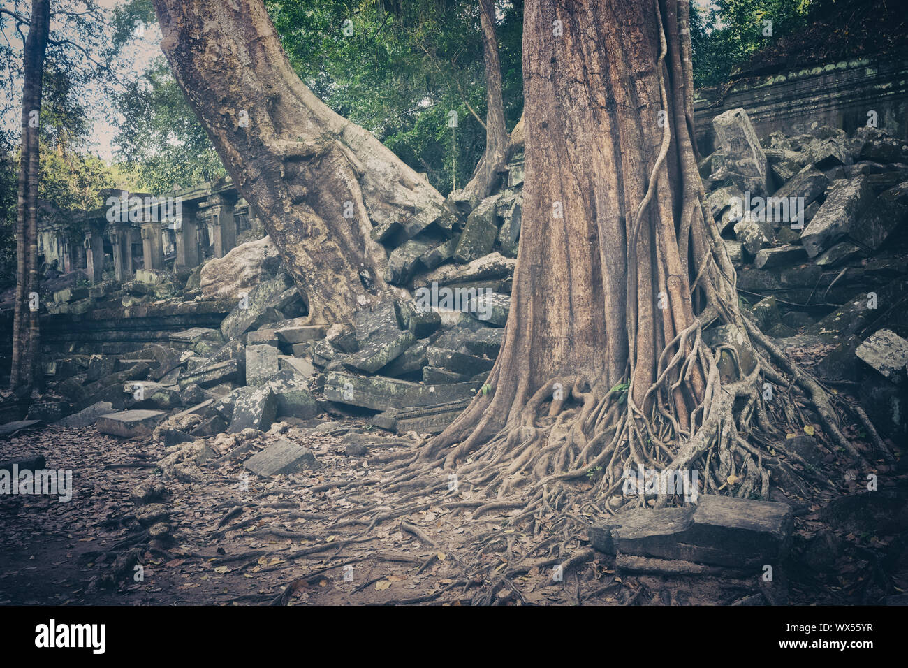 Beng Mealea o Bung Mealea tempio. Siem Reap. Cambogia Foto Stock