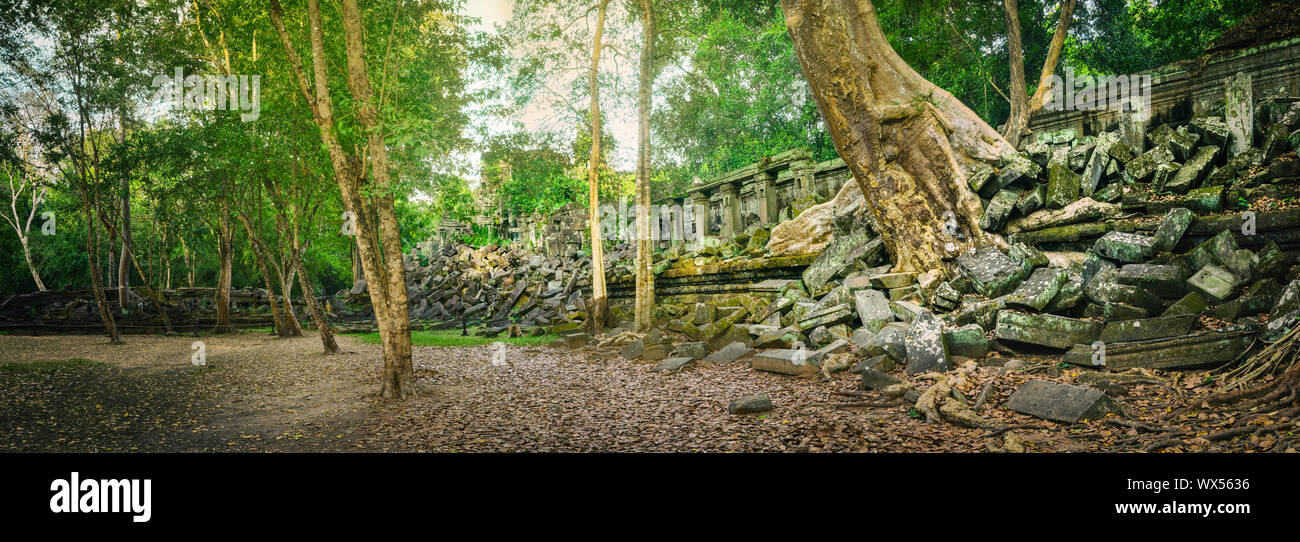Beng Mealea o Bung Mealea tempio. Siem Reap. Cambogia. Panorama Foto Stock