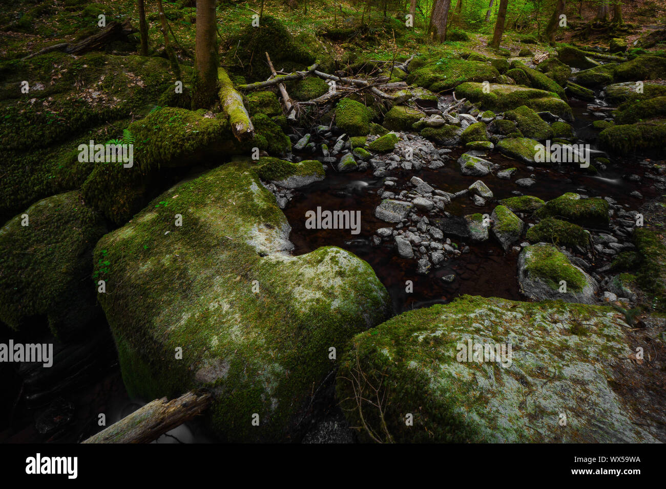 Cascata del flusso di acqua nella foresta nera Foto Stock
