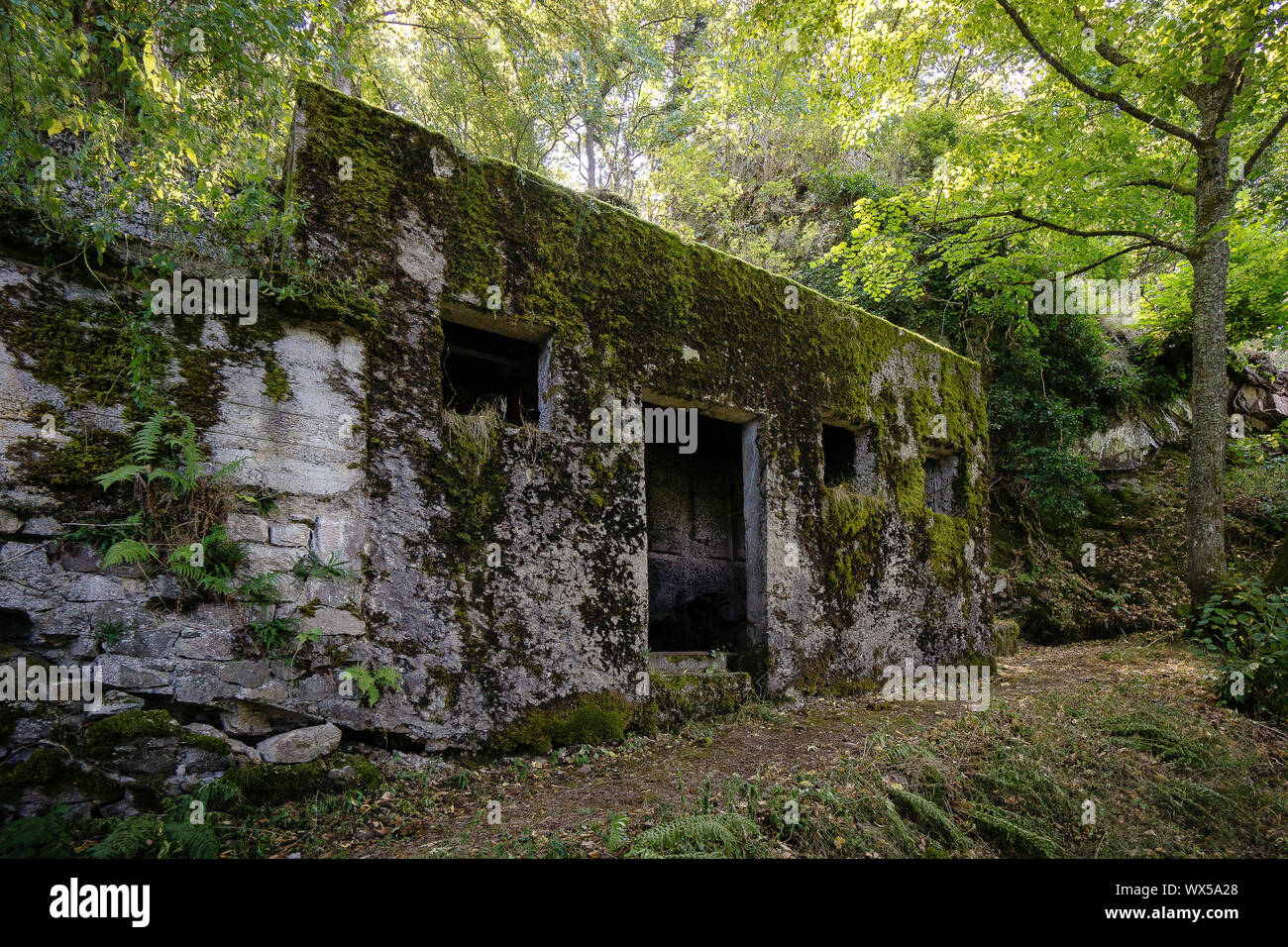 Alsace Mountain vogesen guerra mondiale una memorial rovine Foto Stock