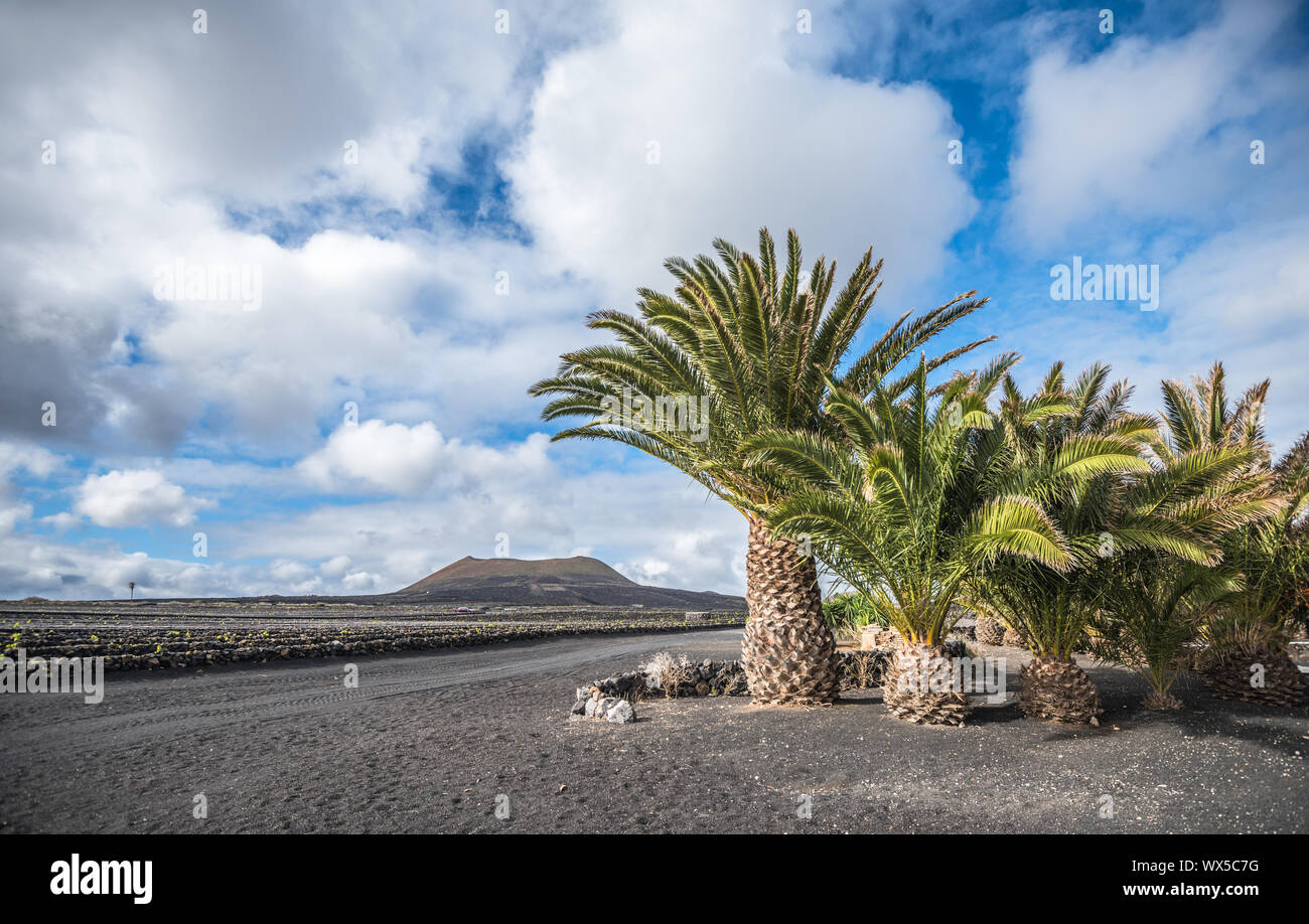 Paesaggio vulcanico di Lanzarote, Isole canarie, Spagna Foto Stock