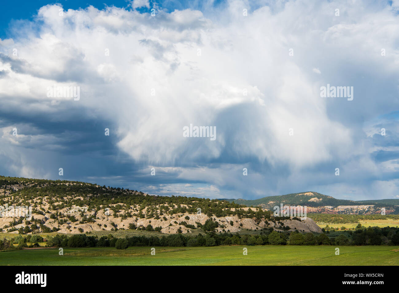 Campi verdi in contrasto con il red rock paesaggio del New Mexico settentrionale sotto un drammatico cielo tempestoso Foto Stock