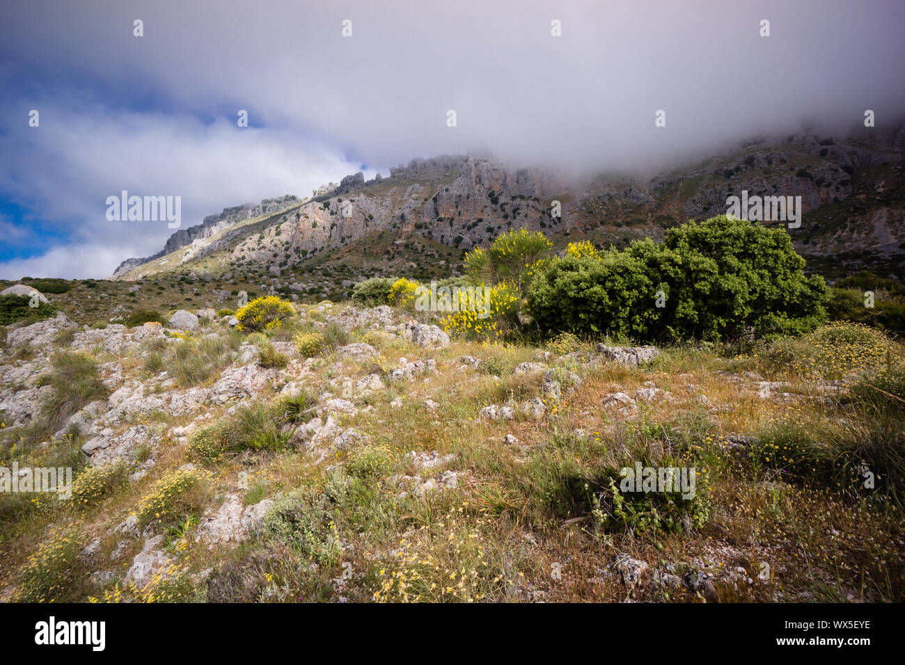 El Torcal Antequera Parco Nazionale di Malaga Foto Stock