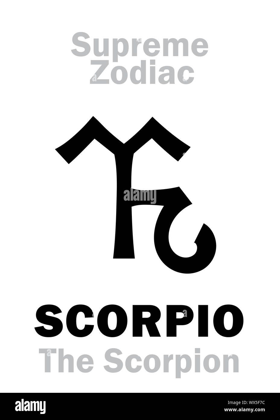 Astrologia: supremo: zodiacale Scorpione (Scorpione) Foto Stock