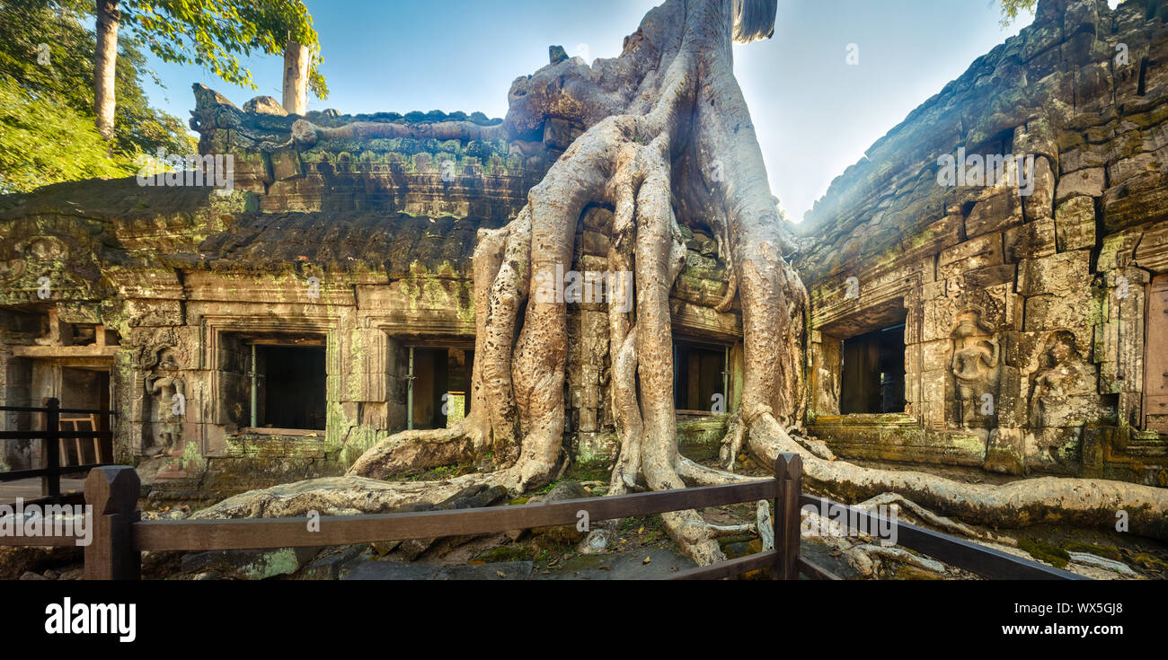 Ta Prohm tempio panorama. Siem Reap. Cambogia Foto Stock