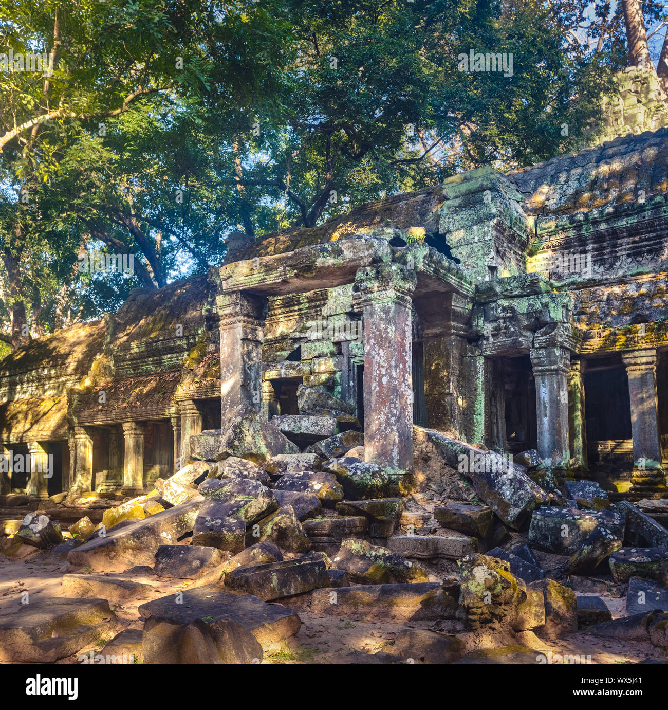 Ta Prohm tempio. Siem Reap. Cambogia Foto Stock