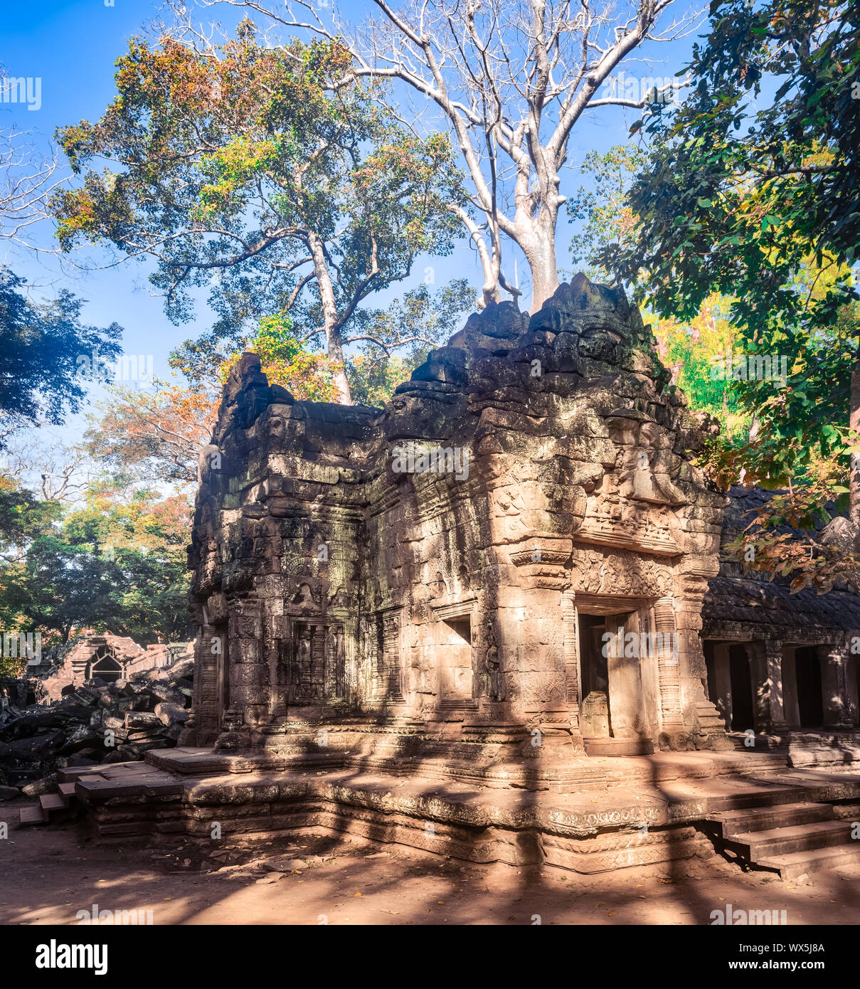 Ta Prohm tempio. Siem Reap. Cambogia Foto Stock