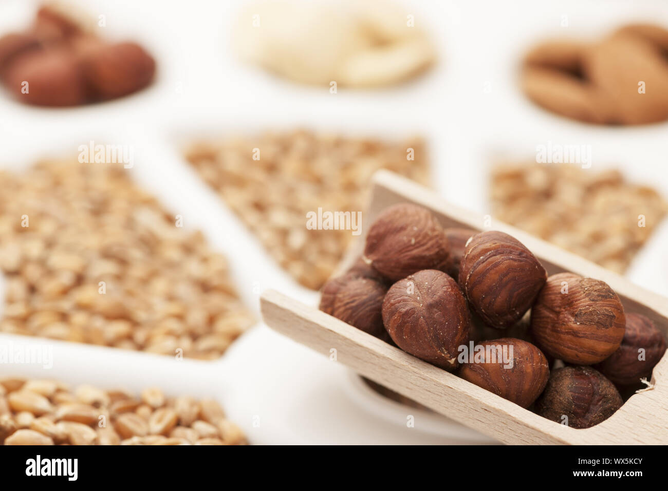 Le nocciole su paletta di legno Foto Stock