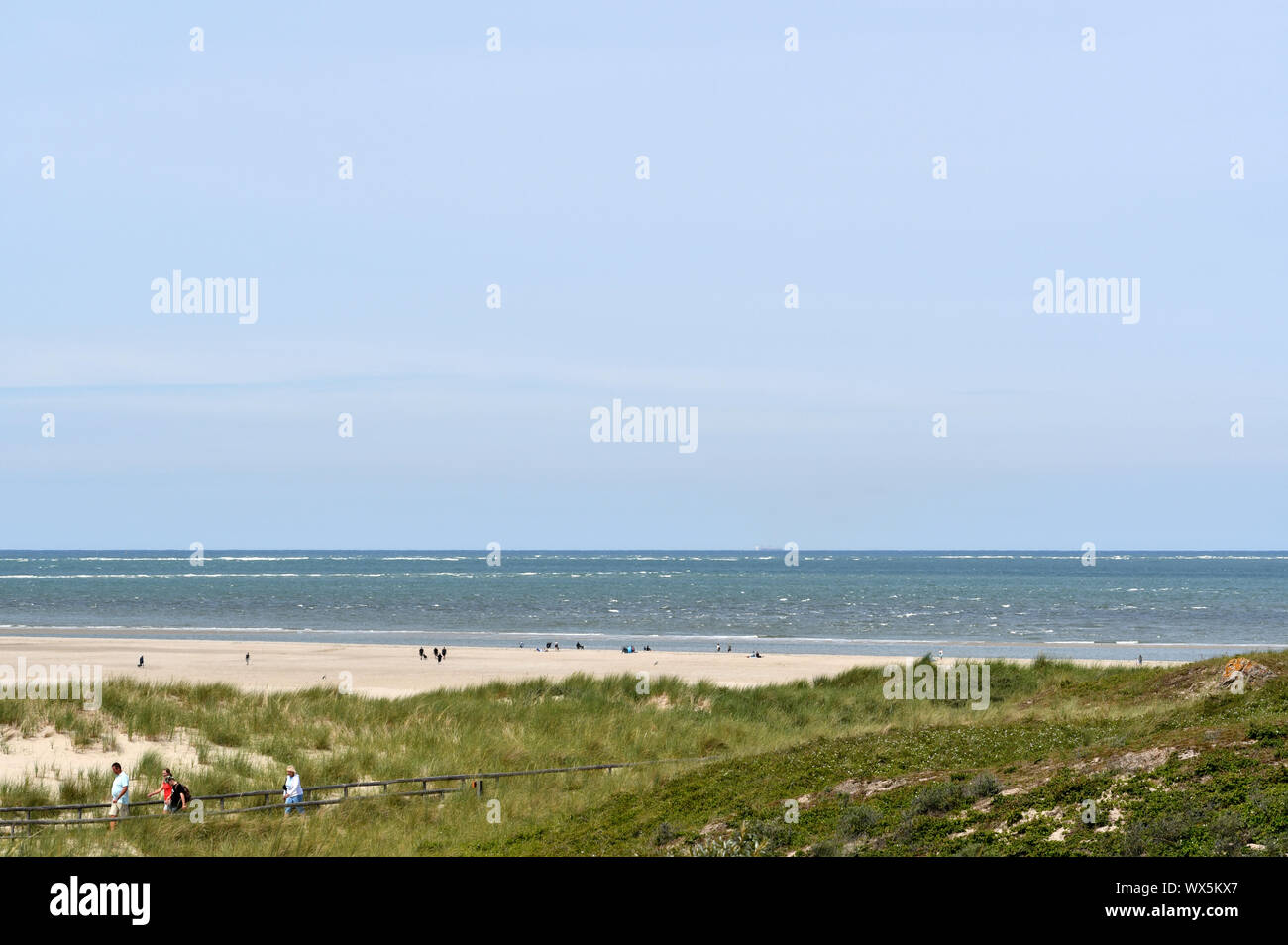 Una duna coperta di erba sull'isola di Texel (Paesi Bassi) Foto Stock