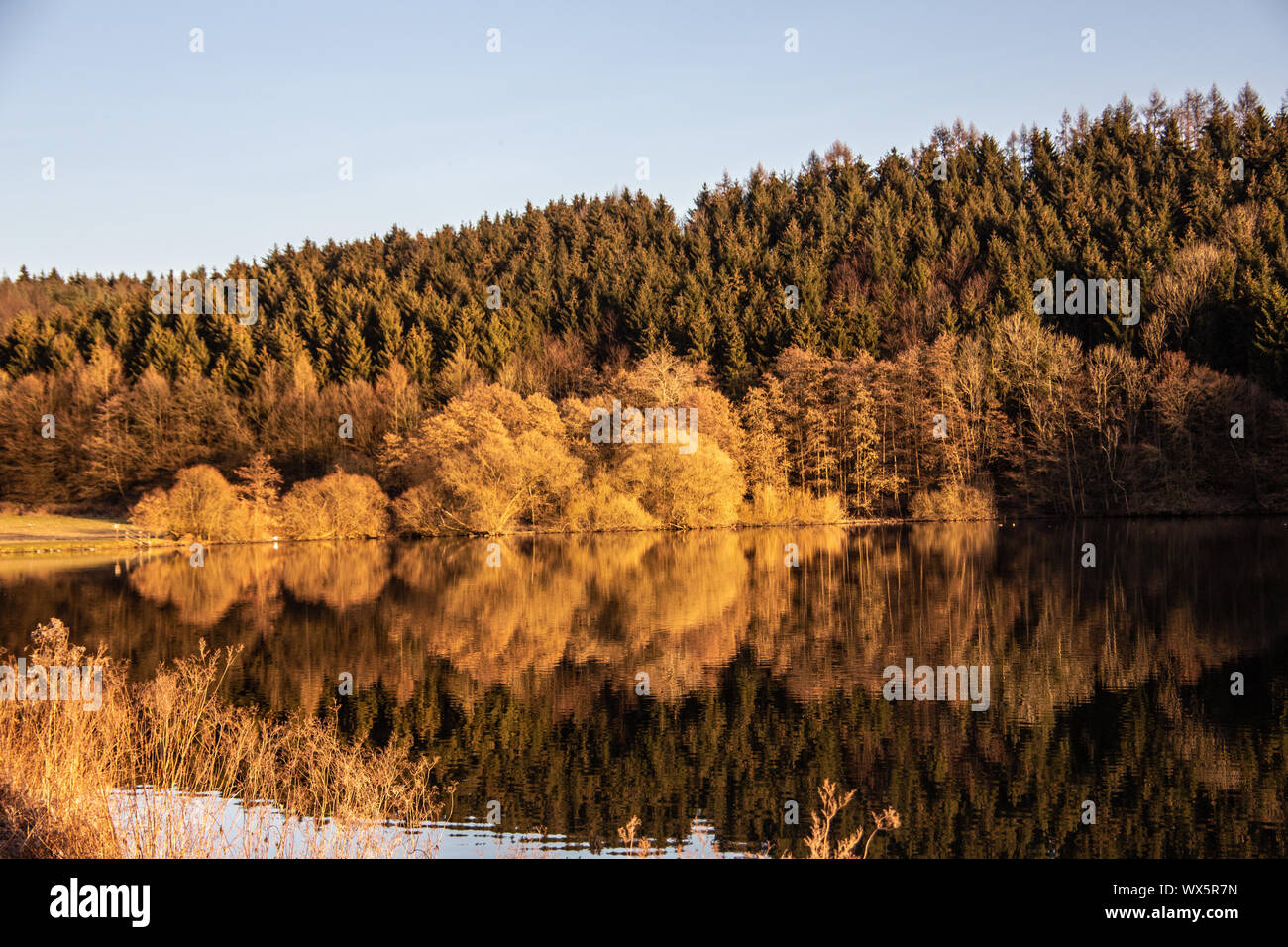 Lago d'autunno con riflessioni di alberi in acqua Foto Stock