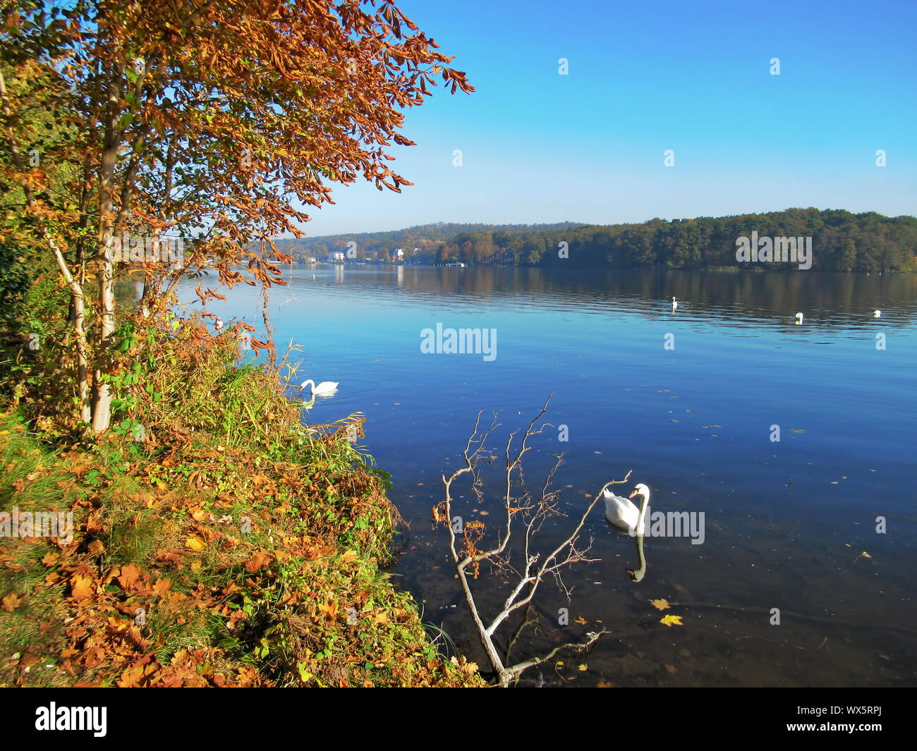Erkner, Flakensee Foto Stock