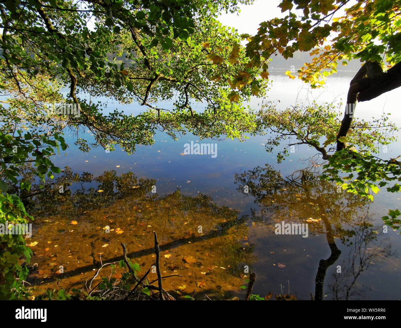 Autunno Foto Stock