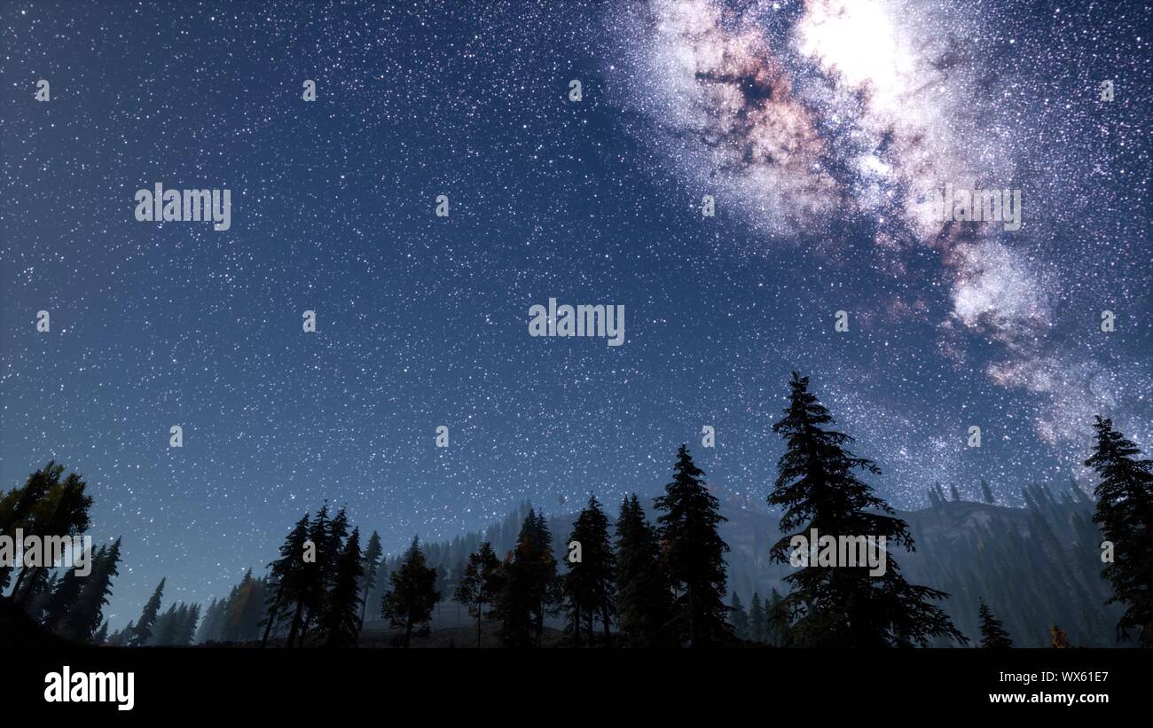 Via Lattea stelle con moonlight al di sopra di foresta di conifere Foto Stock