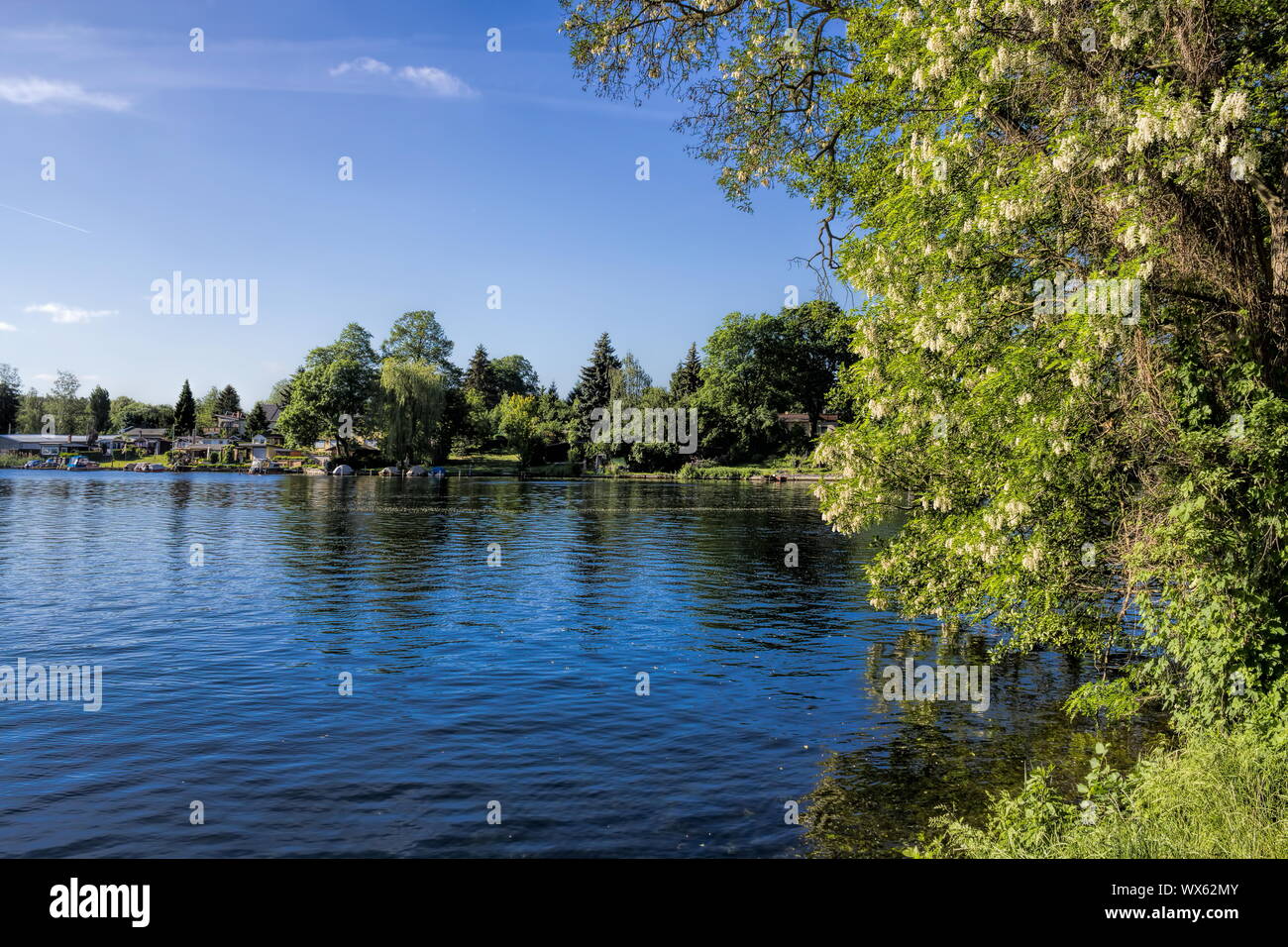 Erkner, Flakensee Foto Stock