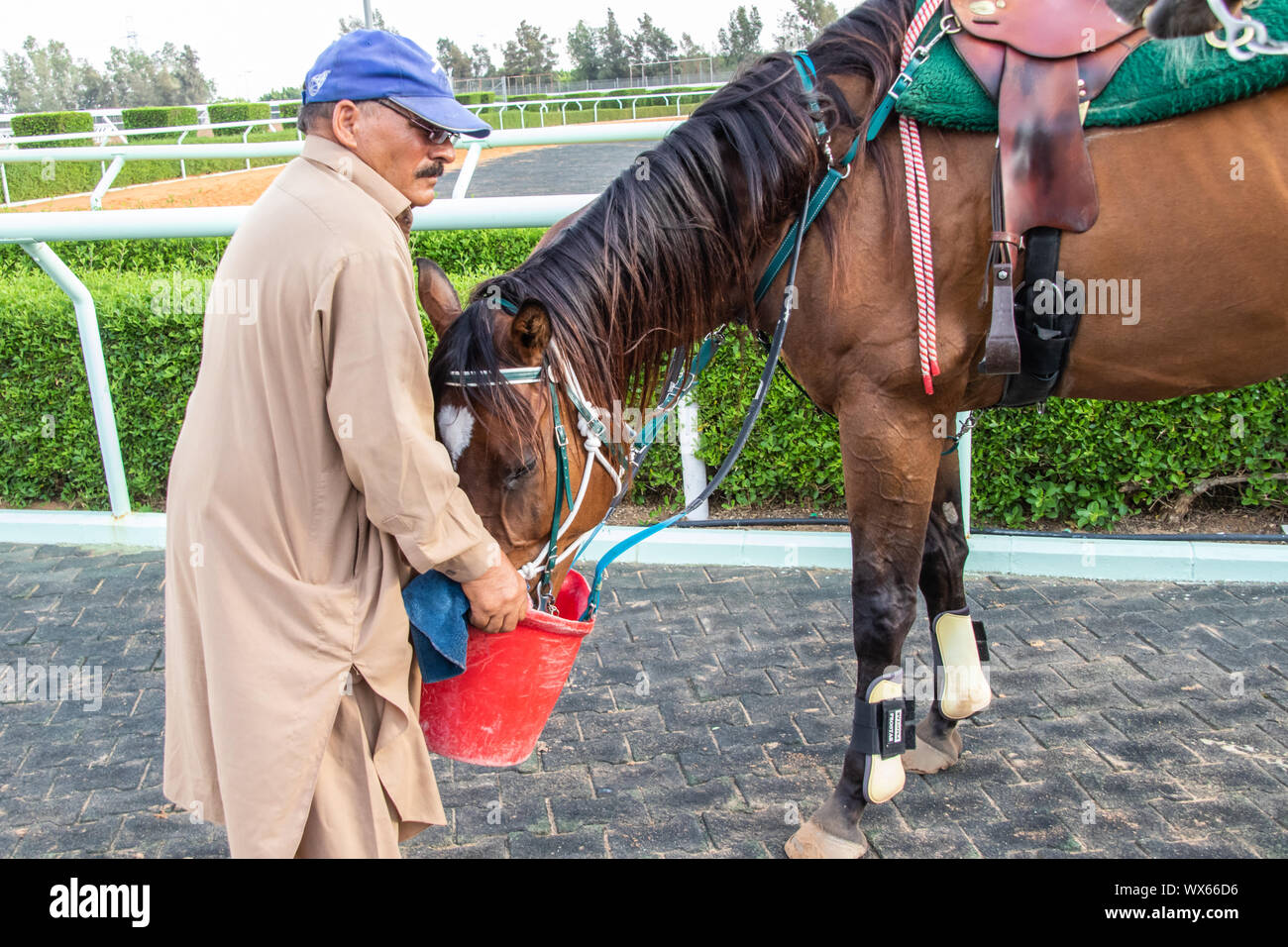 Corse di cavalli al King Khalid Racetrack, Taif, Arabia Saudita 28/06/2019 Foto Stock