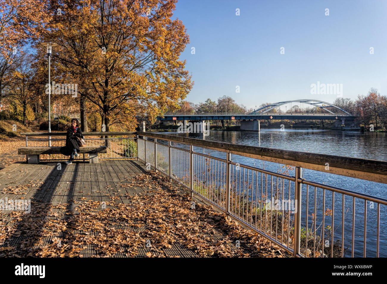 Idillio di erbe Foto Stock
