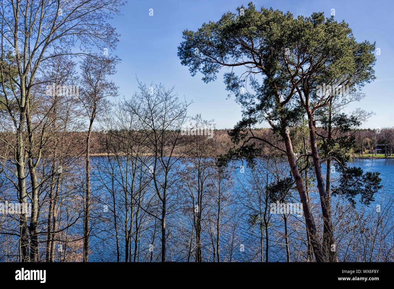 Erkner, Flakensee Foto Stock