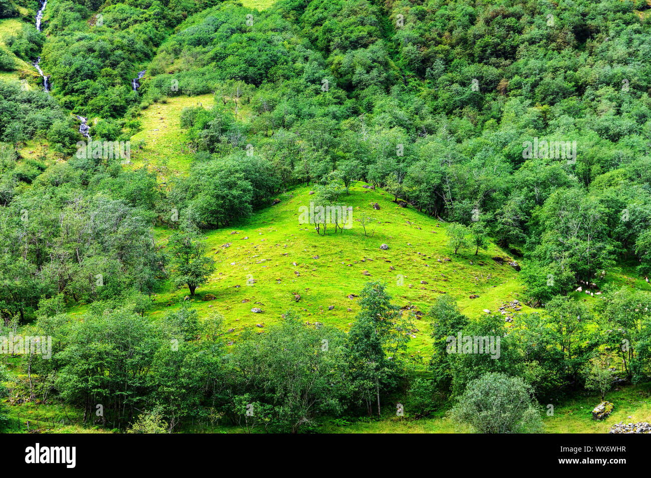 Paesaggio con hill e prato Foto Stock
