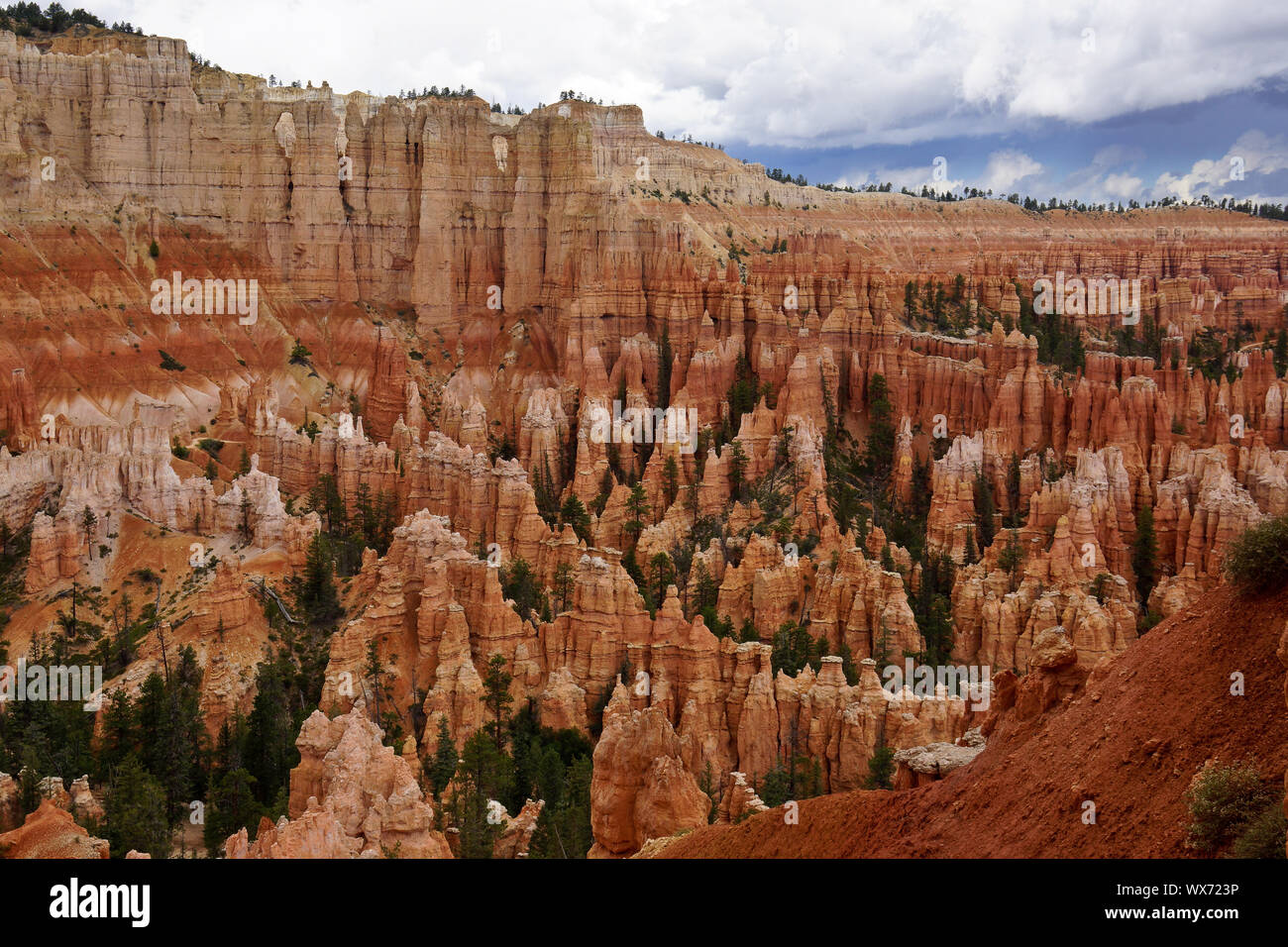 Colonne in pietra e conifere in Bryce Canyon Foto Stock