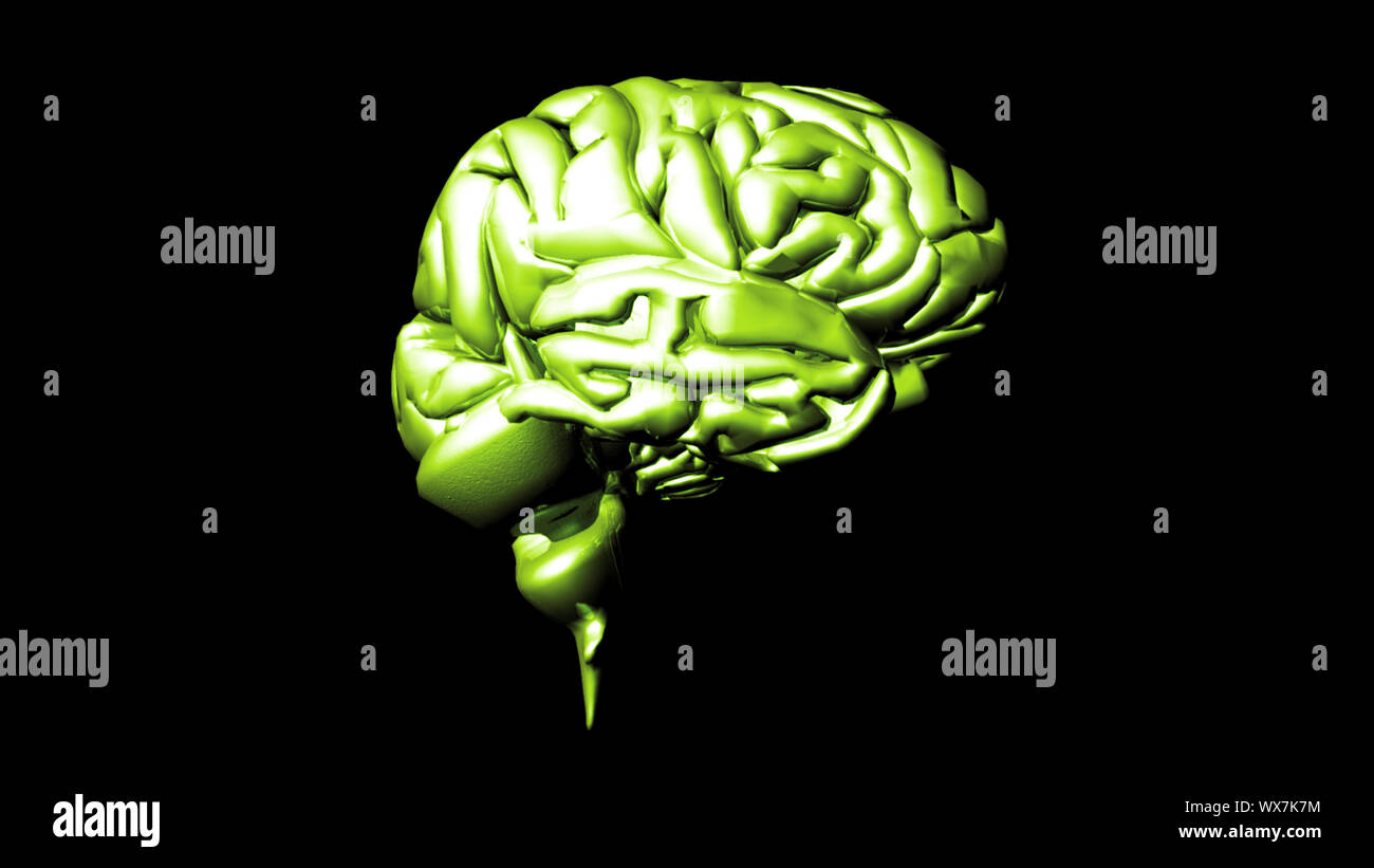 3D estremamente dettagliati animazione di un cervello umano Foto Stock