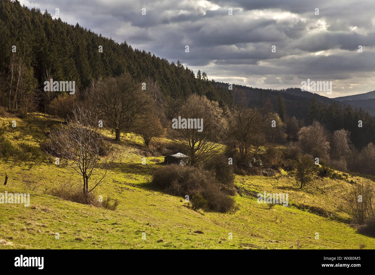 Vista dal sentiero escursionistico Sauerland-Hoehenflug a bassa catena montuosa, Plettenberg, Germania, Europa Foto Stock