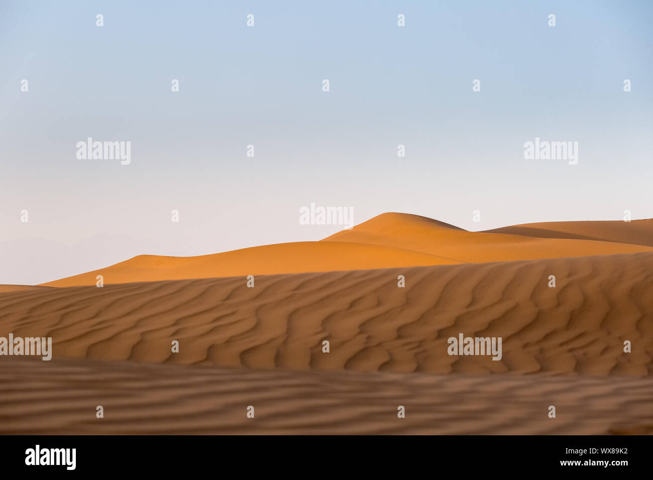 Deserto in sunset Foto Stock