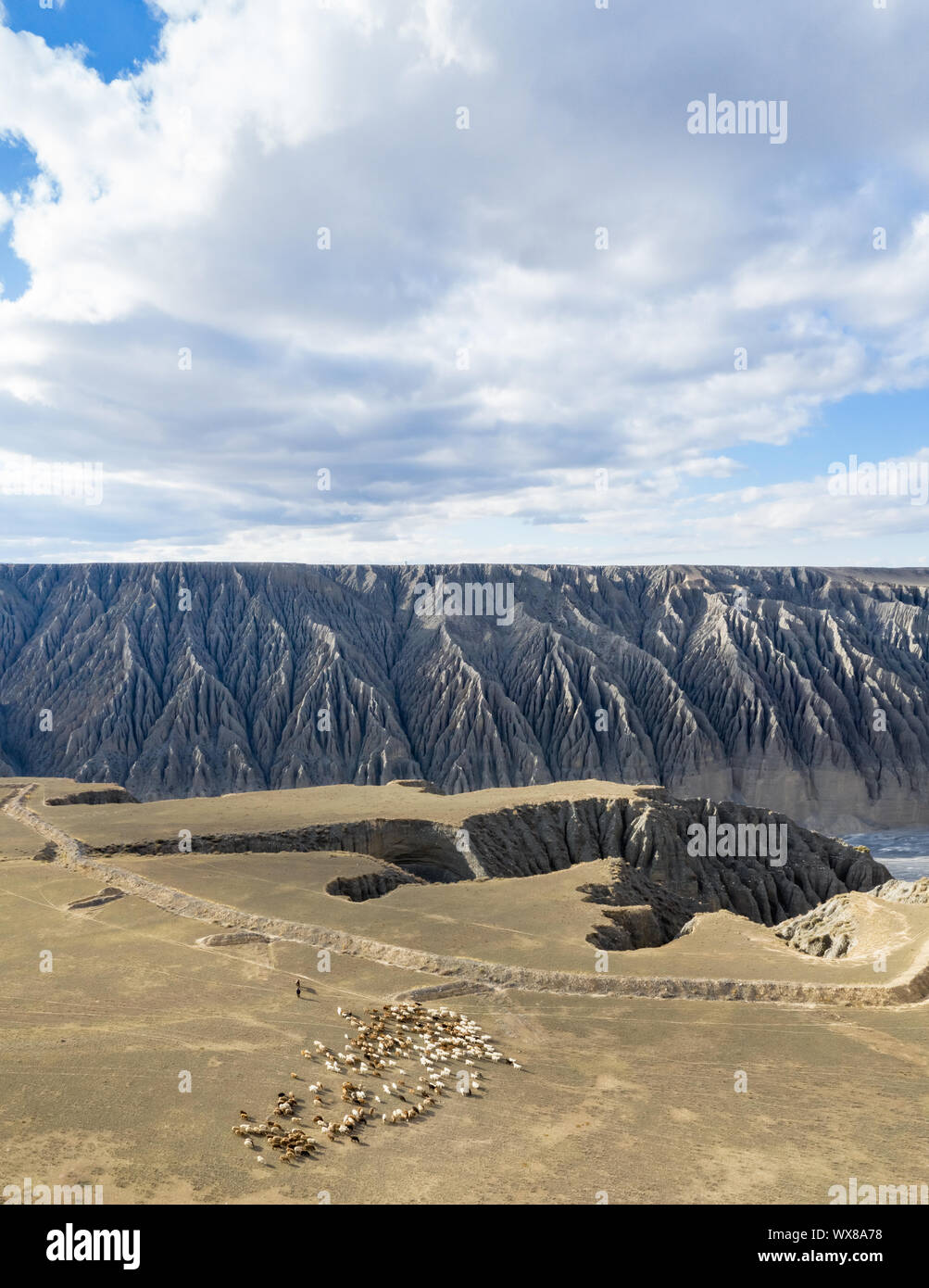 Canyon e praterie in autunno Foto Stock